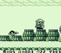 Wario Land